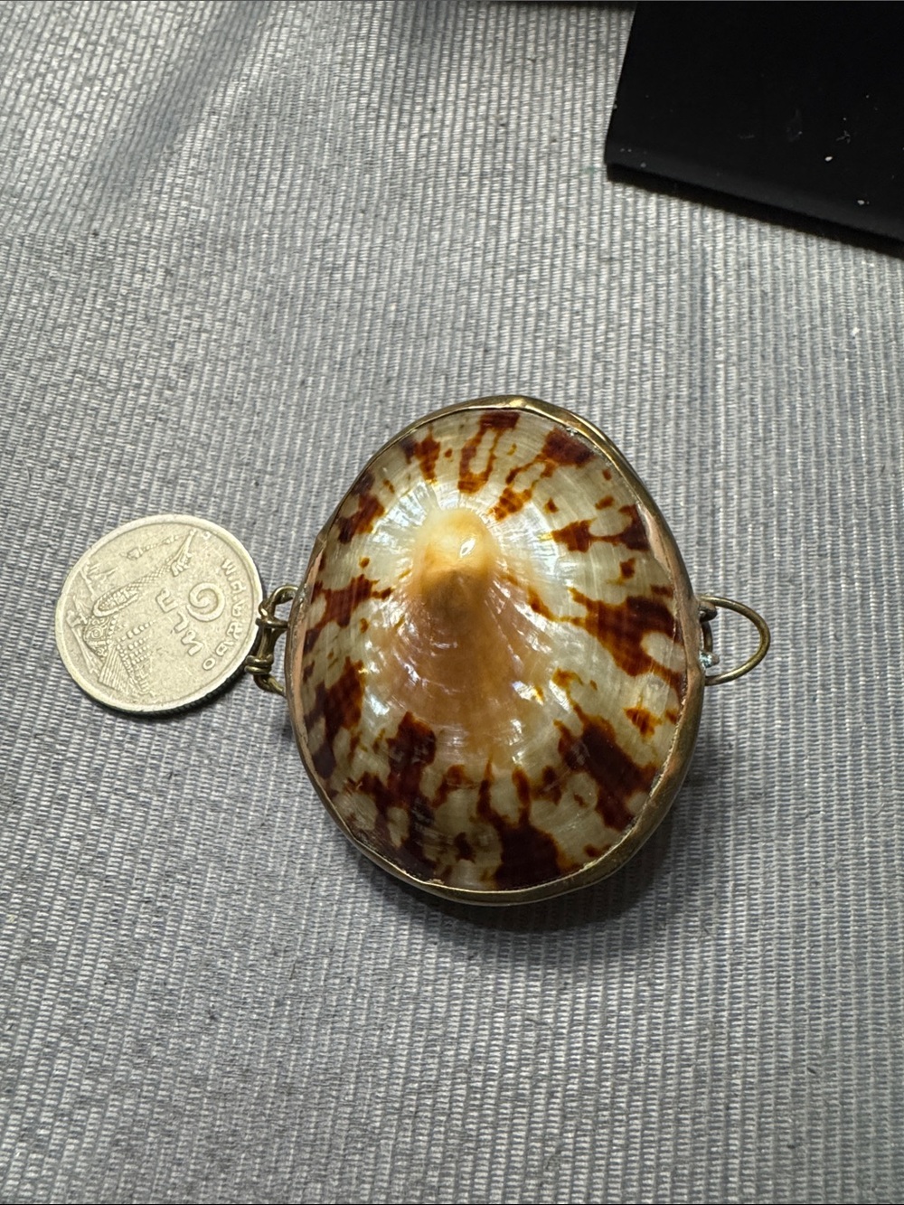 Source Unknown Brown and Cream Shell Pendant/Trinket Box - Picture 5 of 5